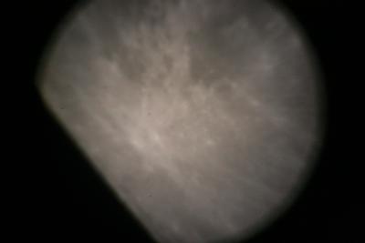 img_7360.jpg